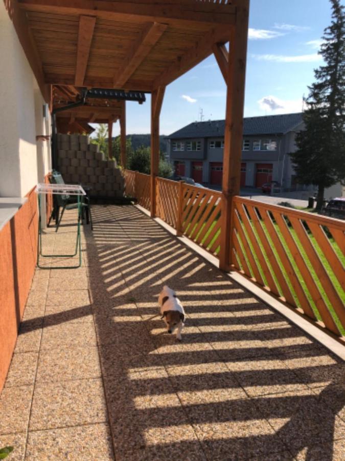 Apartmany Eva Frymburk Buitenkant foto