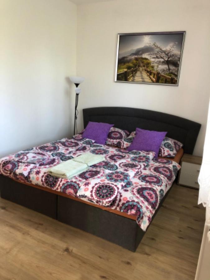 Apartmany Eva Frymburk Buitenkant foto